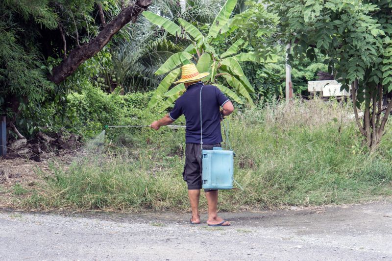Gardening And Weeding